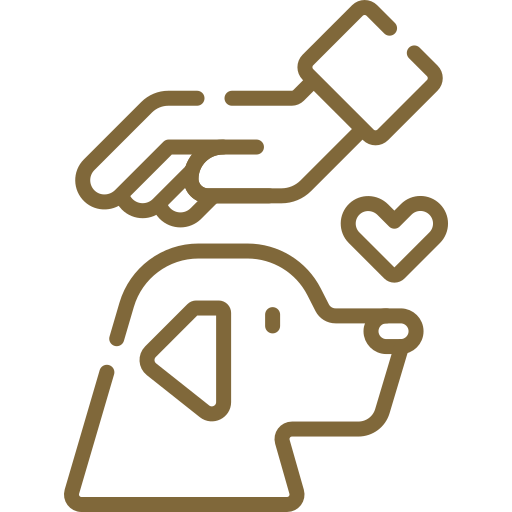 Pets are allowed only with prior confirmation.
